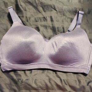 Women's Purple Bra 46C